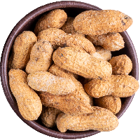 KABUKLU FISTIK (KAVRULMUŞ)